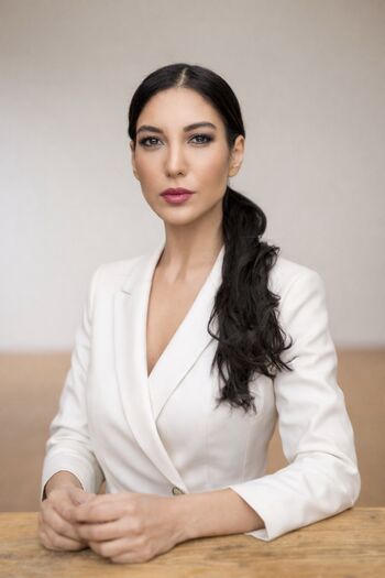 Didem Ercin